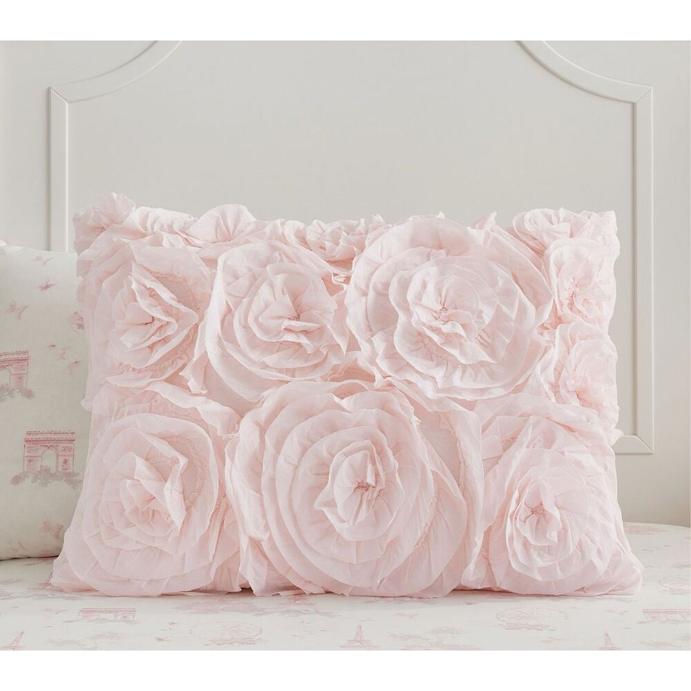 Pottery Barn Kids Rosette Standard Sham